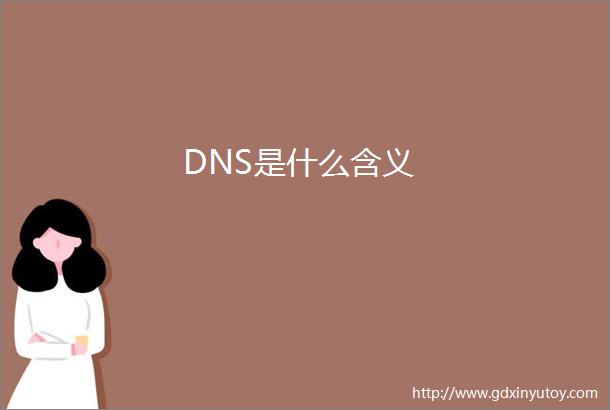 DNS是什么含义