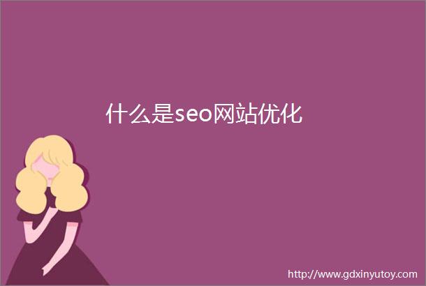 什么是seo网站优化