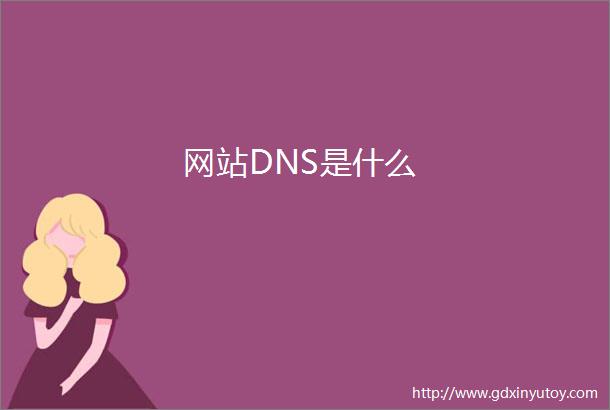 网站DNS是什么