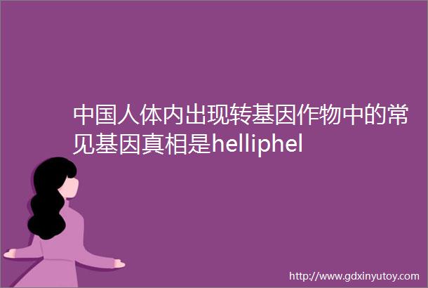 中国人体内出现转基因作物中的常见基因真相是helliphellip