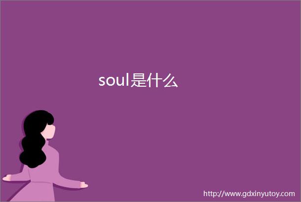 soul是什么