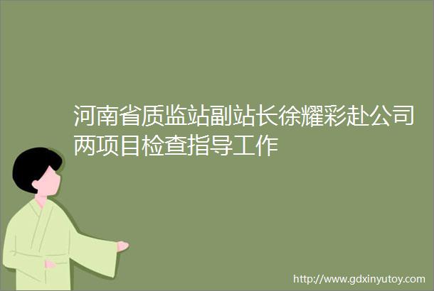 河南省质监站副站长徐耀彩赴公司两项目检查指导工作