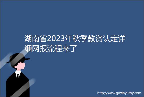 湖南省2023年秋季教资认定详细网报流程来了