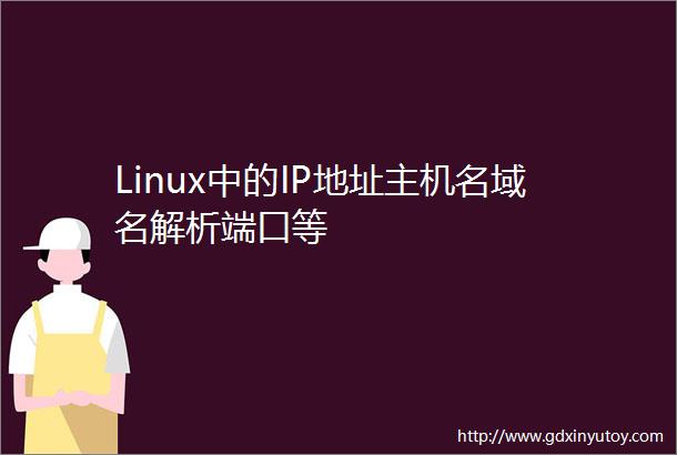 Linux中的IP地址主机名域名解析端口等