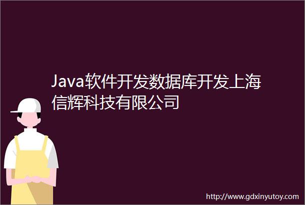 Java软件开发数据库开发上海信辉科技有限公司