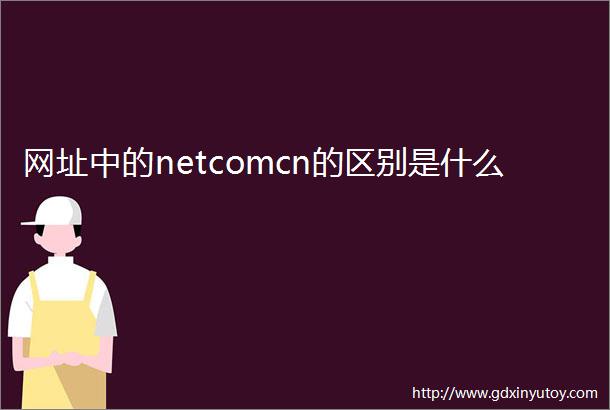 网址中的netcomcn的区别是什么