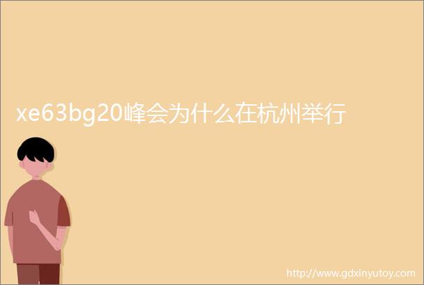 xe63bg20峰会为什么在杭州举行