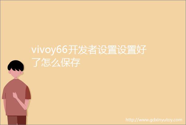 vivoy66开发者设置设置好了怎么保存