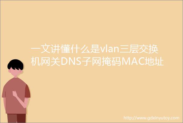 一文讲懂什么是vlan三层交换机网关DNS子网掩码MAC地址