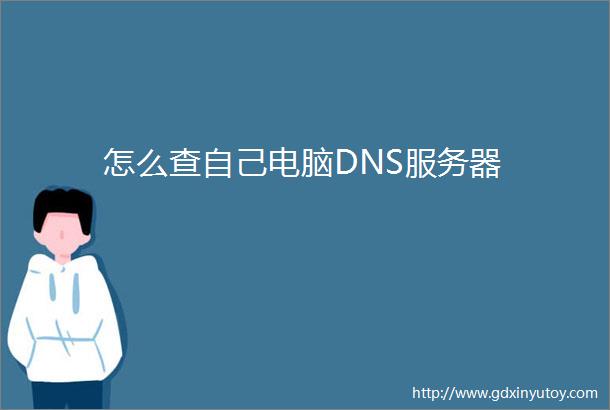 怎么查自己电脑DNS服务器