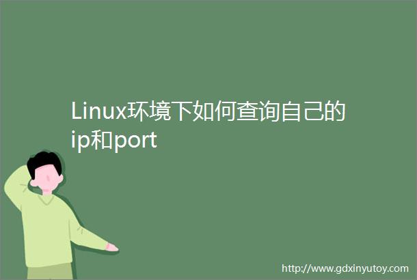 Linux环境下如何查询自己的ip和port