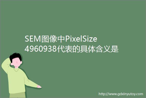 SEM图像中PixelSize4960938代表的具体含义是什么