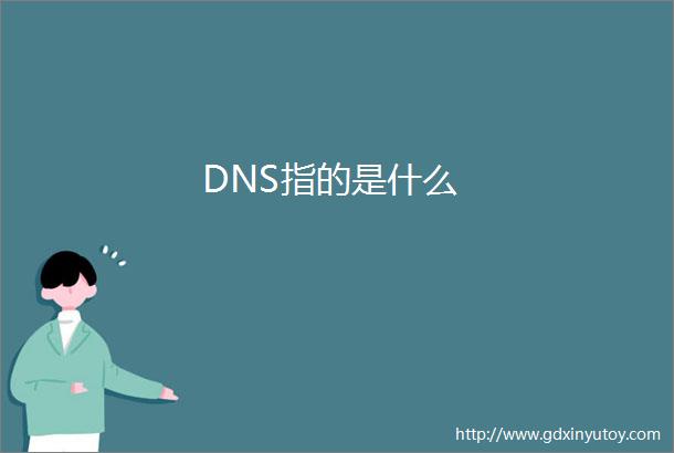 DNS指的是什么