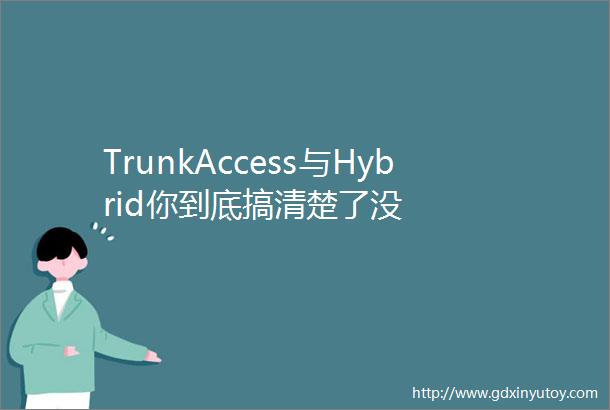 TrunkAccess与Hybrid你到底搞清楚了没