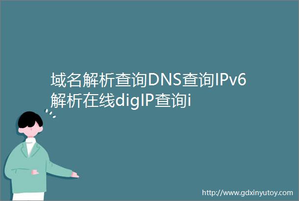 域名解析查询DNS查询IPv6解析在线digIP查询i